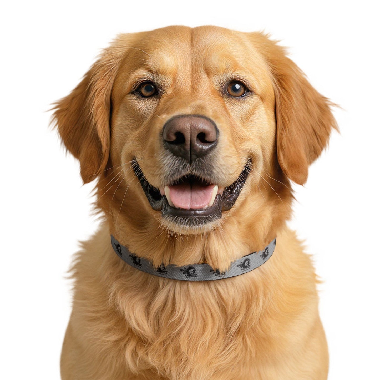 Edge of America Clip-on Pet Collar
