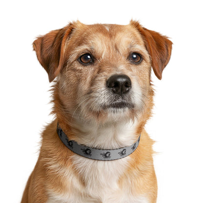 Edge of America Clip-on Pet Collar