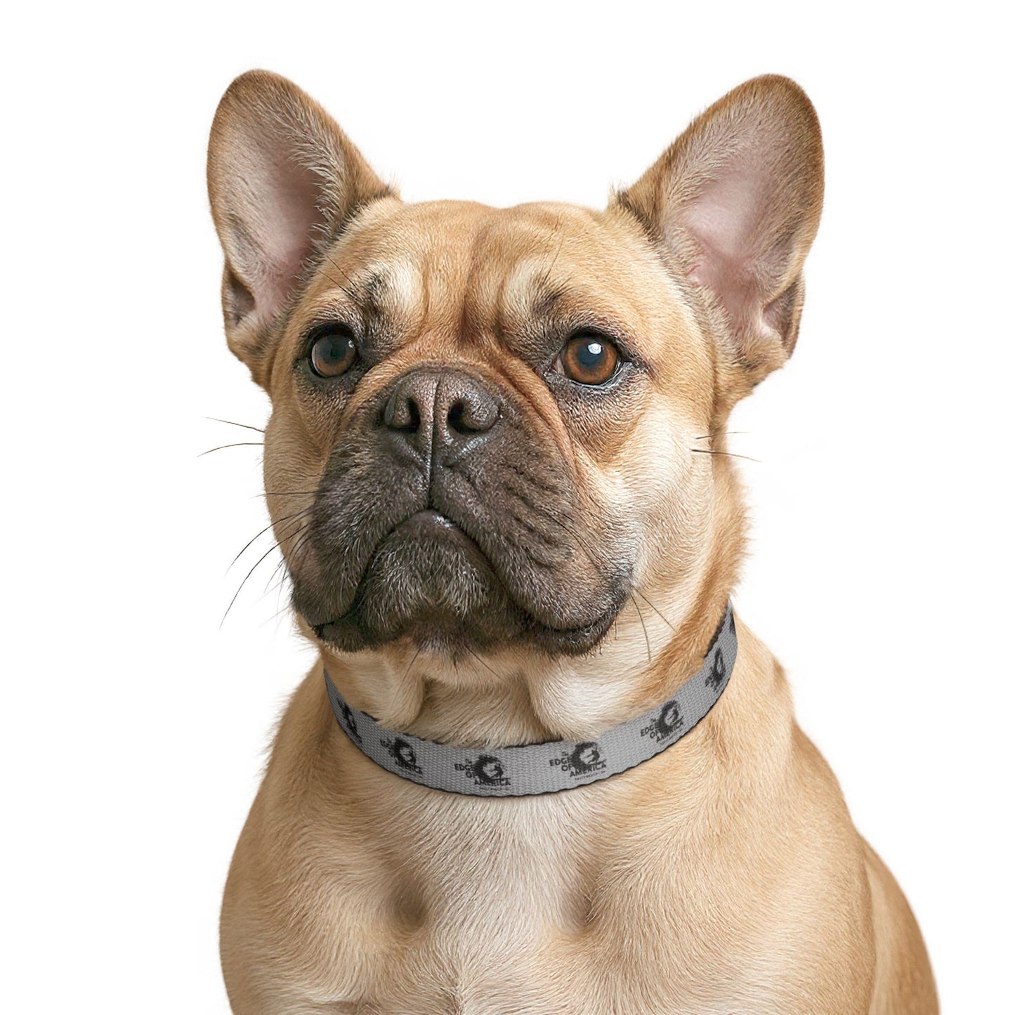 Edge of America Clip-on Pet Collar
